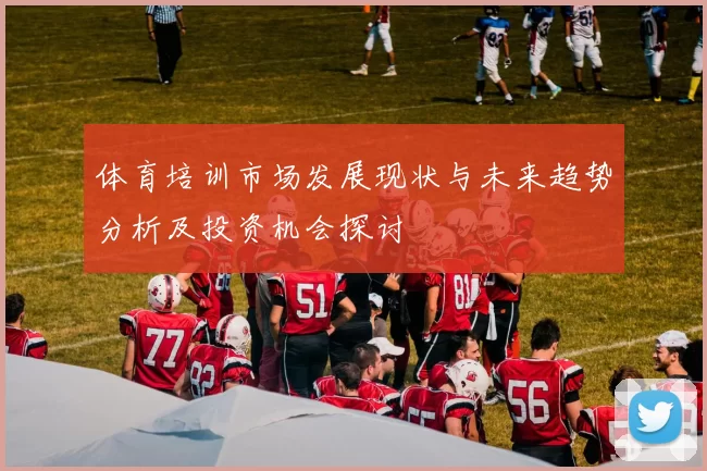 体育培训市场发展现状与未来趋势分析及投资机会探讨
